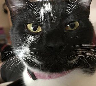 Lucy (20732895)