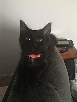 Lucy (20916255)