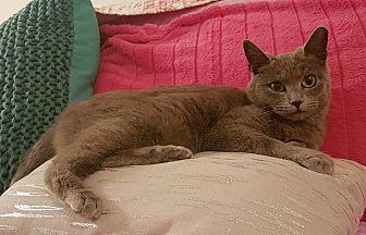 Luli (20975551)