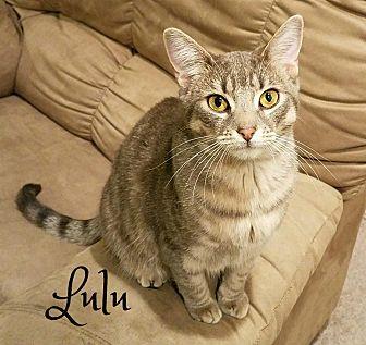 Lulu (21066185)