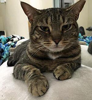 Mabel (20100187)