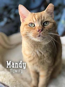 Mandy (20844783)