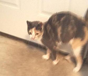 Margo (21064574)