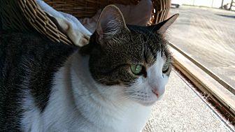 Maria (20533466)