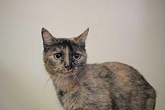 Marjorie (20594885)