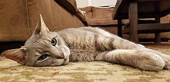 Marley (21141633)