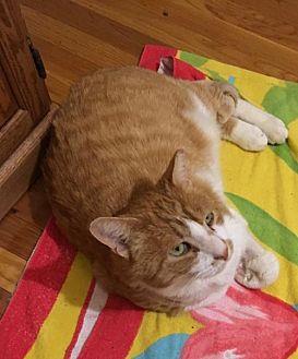 Marmalade (C (20736256)