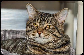 Marty (20768871)