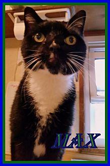 Max (19631103)