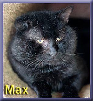 Max (19720503)