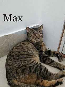 Max (20577496)