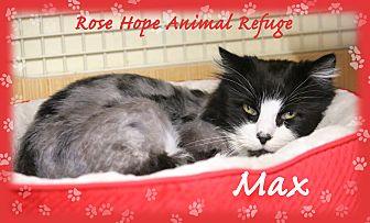 Max (20779967)