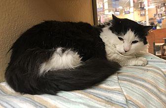 Max (20832230)