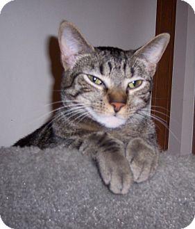 Maxie (15891845)