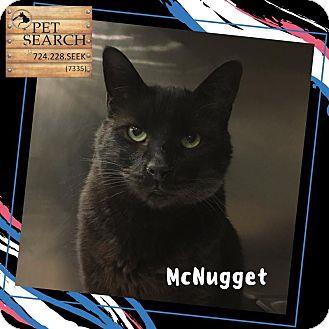 McNugget (18136558)