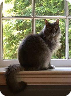 MD – Smokey (17923100)