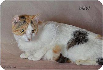 Mew (18181851)