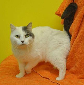 Mia (16843347)