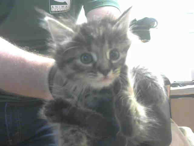 MILA (A904067)
