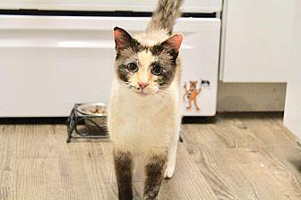 Millie (20815709)