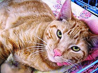 Milo (20129489)