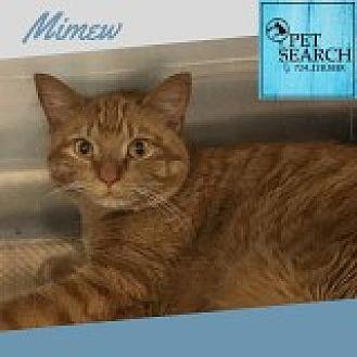 Mimew (20622601)
