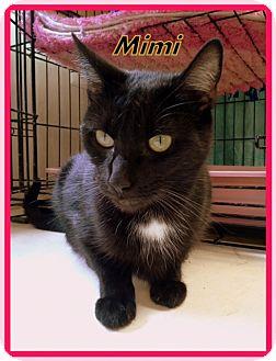 Mimi (16195919)