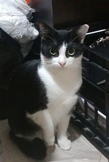 Mimi (21046648)