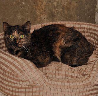 Miss Lilly (16843357)