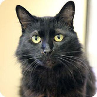Miss Peanut (17277259)