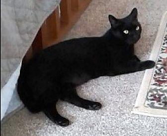 Missy (18718372)
