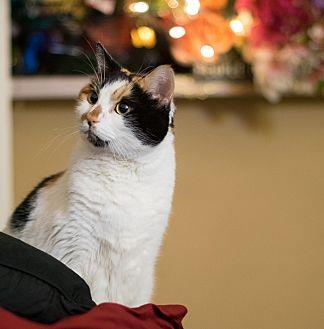 missy (20375220)