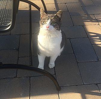 Missy (20734863)