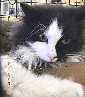 Missy (20964325)