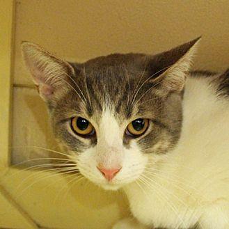 Mittens (21003116)