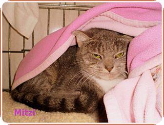 Mitzi (13953823)