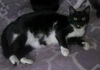 Molly (14299936)
