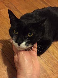 Molly (20705344)