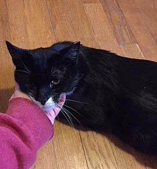 Molly (20705344)