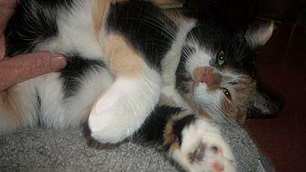 Molly (20893275)