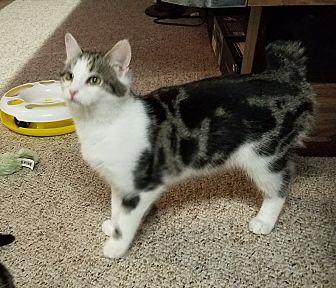 Molly (20940692)