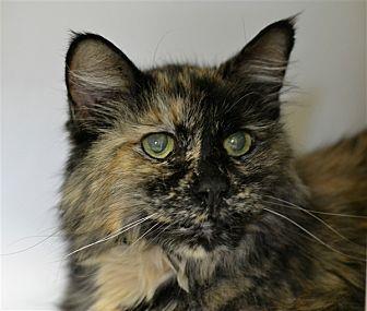 Molly (21070756)