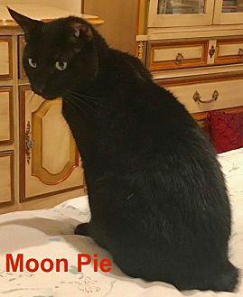 Moon Pie (20969446)