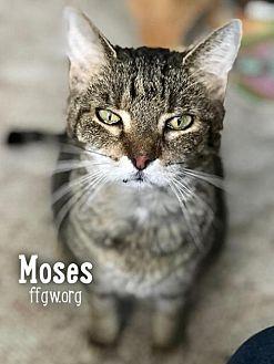 Moses (20844784)