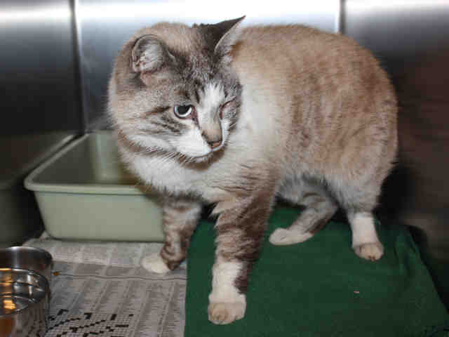 MR MUDD (A120385)