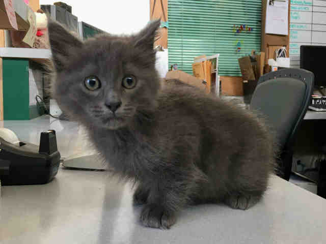 MR PERKINS (A149965)