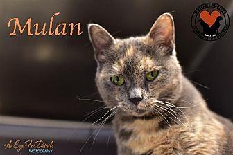 Mulan (18767525)