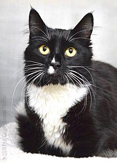 Murphy (21105964)