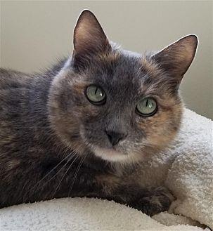 Myca (21097371)