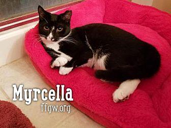 Myrcella (20752381)